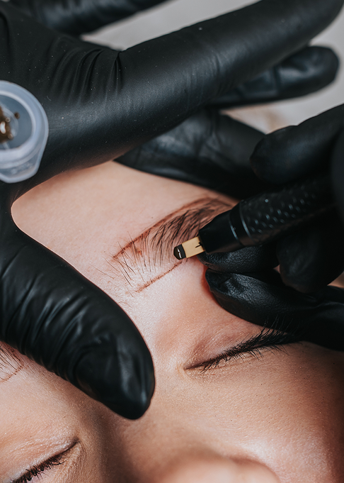 PhiBrows Online Course